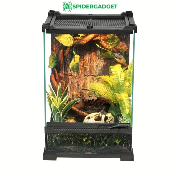 Crystalterr premium glass spider box spidergadget