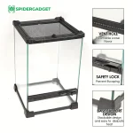 Crystalterr premium glass spider terrarium spidergadget