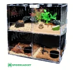 JumpVault-4-Grid-Stackable-Spider-Enclosure-SpiderGadget