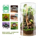 SnapVault-jumping-spider-enclosure-SpiderGadget